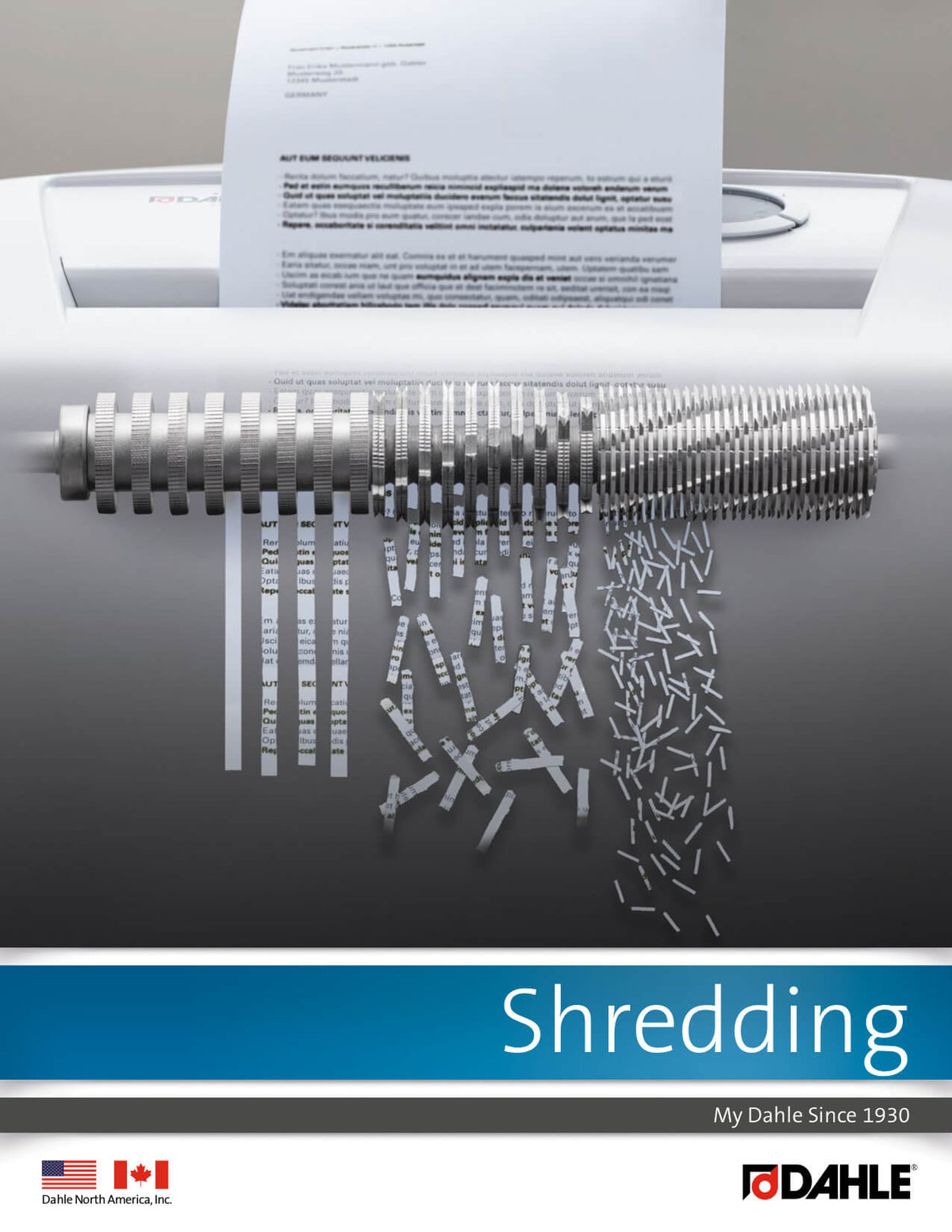 Dahle 20394 High Security Paper Shredder, Extreme Cross Cut