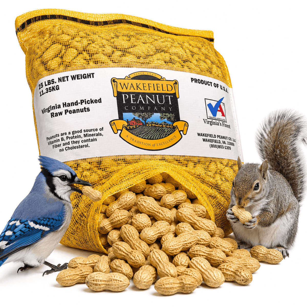 Wakefield Virginia Peanuts 25 lb in-shell animal peanuts with squirrel, blue jay, and bulk backyard peanuts