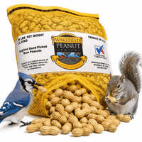 Wakefield Virginia Peanuts 25 lb in-shell animal peanuts with squirrel, blue jay, and bulk backyard peanuts