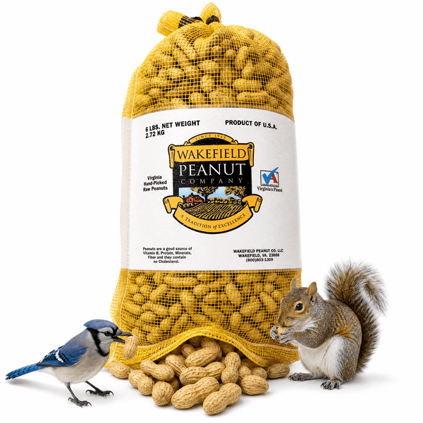 Wakefield Virginia Peanuts 6 lb in-shell animal peanuts with squirrel, blue jay, and bulk backyard peanuts