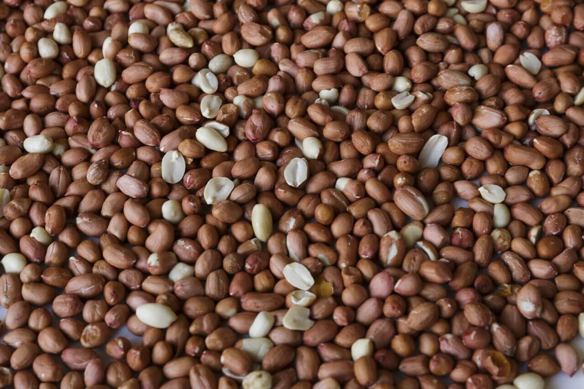 Wakefield Virginia Peanuts Shelled Animal Peanuts, 45 LBS